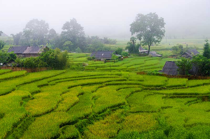 208 - Vietnam - Sapa - paisaje bajo la lluvia